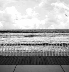 Sinaldaba:Concurso ensenada del Orzán, A Coruña